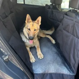 Dog Hammock Car Seat Cover — Heavy Duty Cardura (Fits Most SA Vehicles)