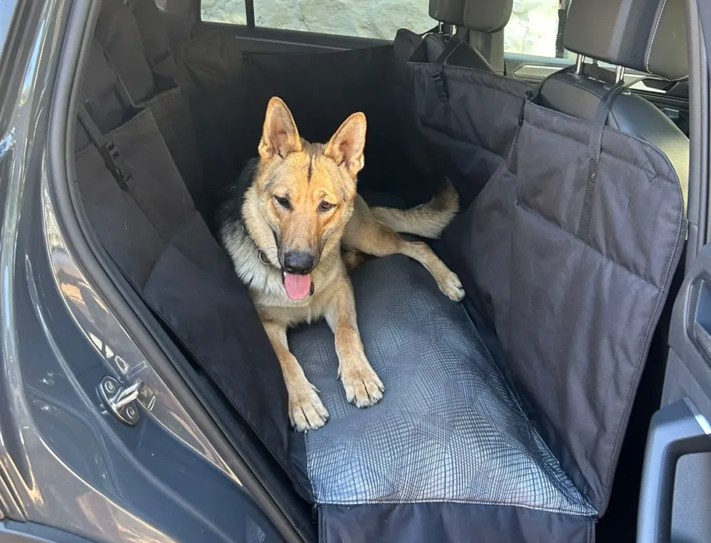 Image #3 from Lucia B.