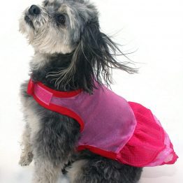 Diva Doggy Dress
