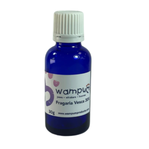 Wampum Fragaria Vesca 30X