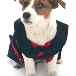 Men's evening formal Tuxedo (For dogs)