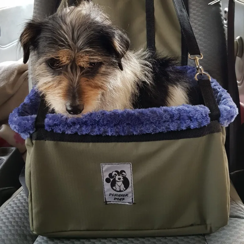 Car seat for dogs booster seat in blue