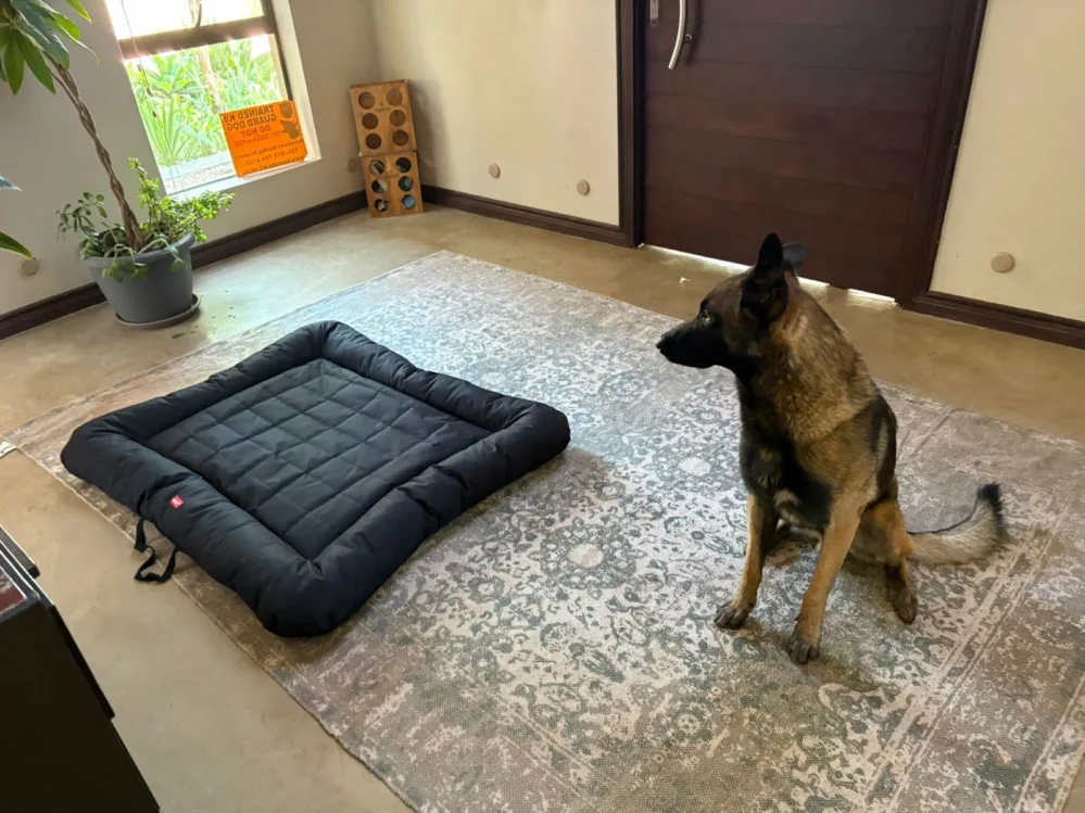 Image #2 from Leigh G.