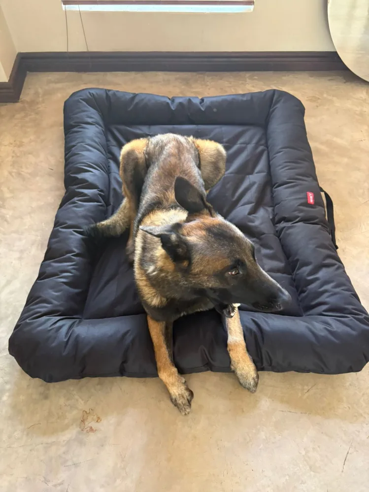 Image #1 from Leigh G.