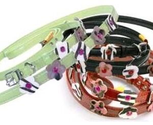 Cherry Blossom Lead and Collar