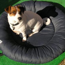 Round Bed Cardura DogNut for Pre-mould Kennels