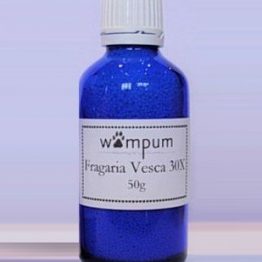 Wampum Fragaria Vesca 30X