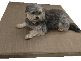Denim Kennel Mat with Removable Cover
